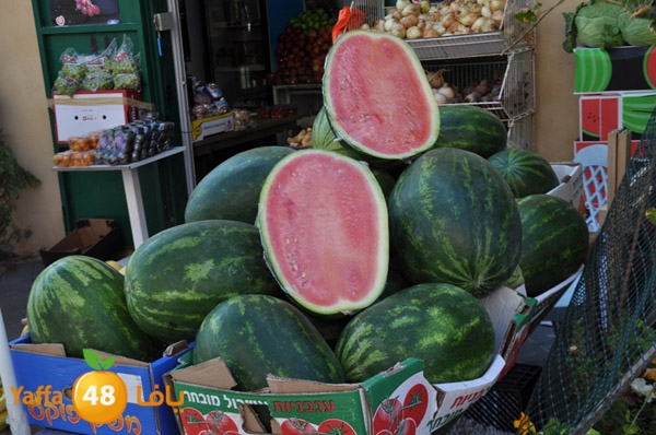 markaz khodare 3 (18).JPG